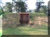 Fort Tyler109.jpg (883312 bytes)